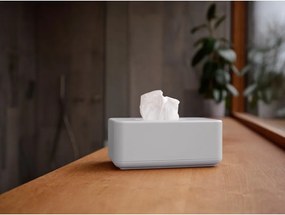 Műanyag zsebkendőtartó Ume – Zone