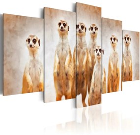 Kép - Family of meerkats