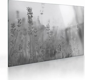 Üveg kép - Levendula (70x50 cm)