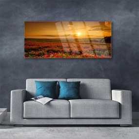 Akrilkép Szakterület Pipacsok Sunset Meadow 120x60 cm