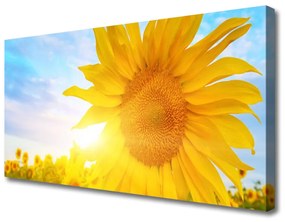 Vászonfotó Napraforgó Sun Flower 100x50 cm