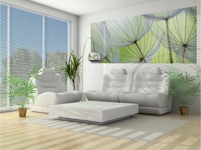 Fotótapéta flizelina Pitypang A természet könnyedsége makro magok 250x104 +ragasztó