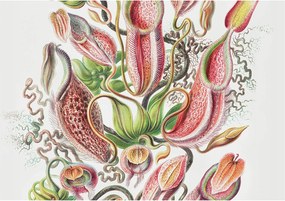 Fotótapéta Flizelin Dekoratív tapéta Növényi részletek 312x219 Ragasztó