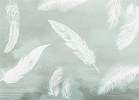 Üveg kép - Fehér tollak (70x50 cm)