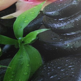 Kép - Kövek és orchideák (150x105 cm)