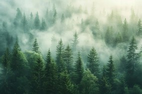 Vászonkép Canvas Tájkép Hegyek Fák Erdő Köd Nap 60x40