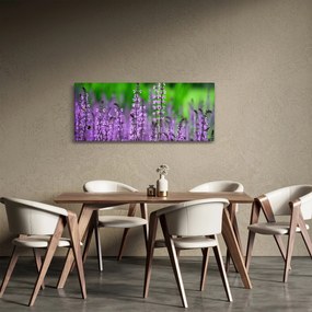 Lila mezei virágok képe (120x50 cm)