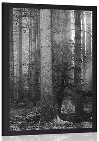 Poszter az erdő titka feketén-fehéren