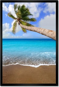 Poszterek keretben 40x60 Pálmafák az óceán felett