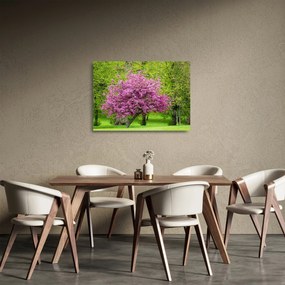 A réten virágzó fa képe (üvegen) (70x50 cm)