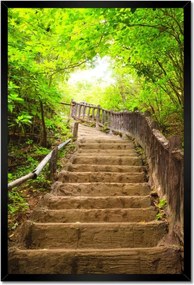 Poszterek keretben 40x60 Lépcsők az erdőbe