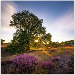 Poszterek 100x100 Tájkép Látvány