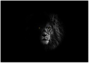 Poszterek 100x70 Oroszlán az árnyékban Király