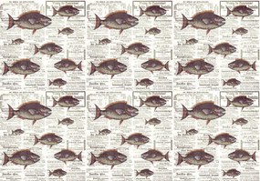 Fotótapéta - Piranhas egy régi újságban (152,5x104 cm)
