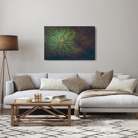 Kép - Fenyőfa részlete (90x60 cm)