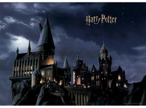 Harry Potter fotótapéta 252 x 182 cm, 4 részes