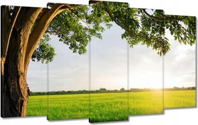 Vászonkép 100x60 Misztikus naplemente