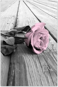 Poszterek 80x120 PĂșderrĂłzsaszĂn Old pink Rose