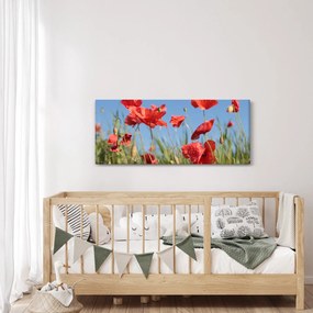 Kép - Pipacsok (120x50 cm)