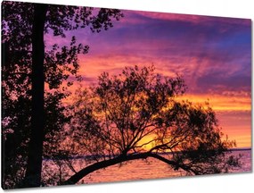 Vászonkép 120x80 Tó Fa Nyugat