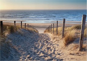 Divatos Flizelin Tapéta Ragasztóval Fali 3D Strand ösvény 312x219 Ragasztó