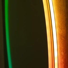 Brilagi- LED RGBW dimmelhető, beépített páramentesítő fűtéssel, háttérvilágítású tükör AVA PRO LED/18W/230V átmérő 60 cm IP44