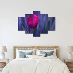 Tulipán bimbó képe (150x105 cm)