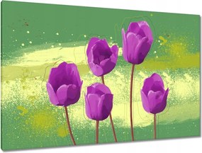 Vászonkép 120x80 Mezei pipacs Divatos minta