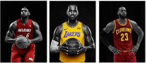 Lebron James falikép ajándék 3 részes Nba triptichon 40x90 cm