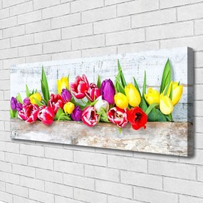 Canvas kép Tulipán virágok természet 140x70 cm