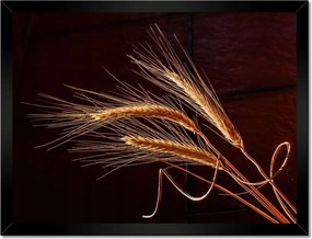 Poszter keretben 40x30 Kalászok Gabona Természet Bio