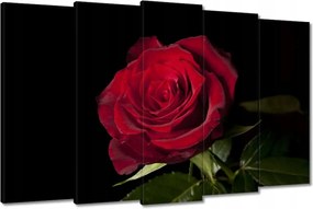 Vászonkép 150x95 Gyönyörű rózsa
