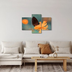 Kép - pillangó narancssárga virágon (90x60 cm)