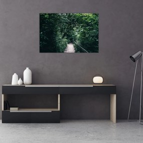 Kép - Az erdőn át vezető út (90x60 cm)