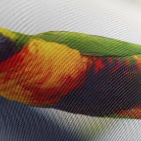 Papagáj képe (150x105 cm)