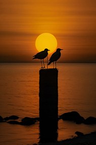 Poszter 30x45cm Beszélgetések alkonyatkor