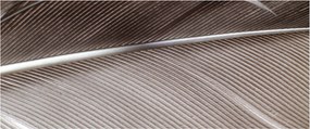 Absztrakt kép szálak (120x50 cm)