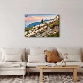 Kép - Egy nyáj birka (90x60 cm)