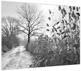 Üveg kép - Mezők télen (70x50 cm)