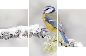 Kép - Kékvércse az erdőben (90x60 cm)