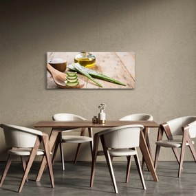 Kép - Aloe vera (120x50 cm)