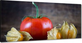 Festmények 120x60 Konyhai képek Forradalmak