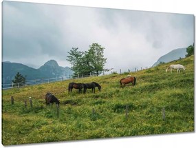 Festmények 120x80 Tájképek Kilátások OrszágKépek