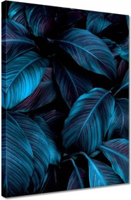 Vászonkép 30x40 Gyönyörű kék levelek