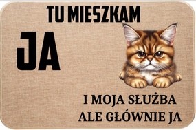 Lenvászon Lábtörlő Macskával Itt Lakom Én És A Szolgálatom, De Főleg Én 8