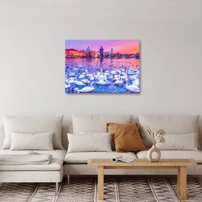 Kép - Prága (70x50 cm)