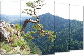 Festmények 150x95 Magányos fa