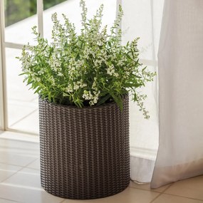 Keter Cylinder L 39 l virágcserép, barna