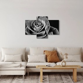 Kép - Rózsa, fekete-fehér (90x60 cm)