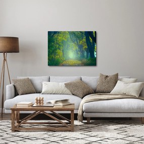Fákkal szegélyezett út képe (70x50 cm)